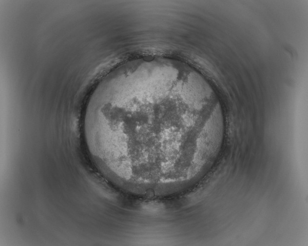 X0000114420258200911061628