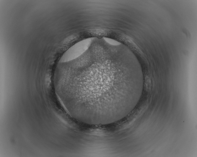 X0000114420259200911061628