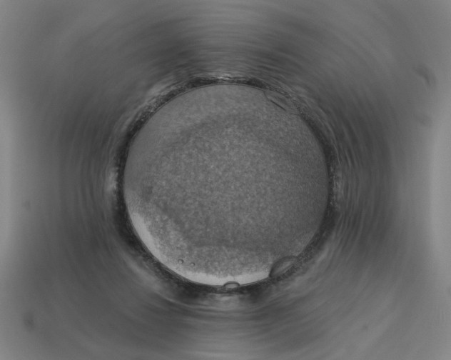 X0000114420260200911061628