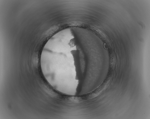 X0000114420261200911061628