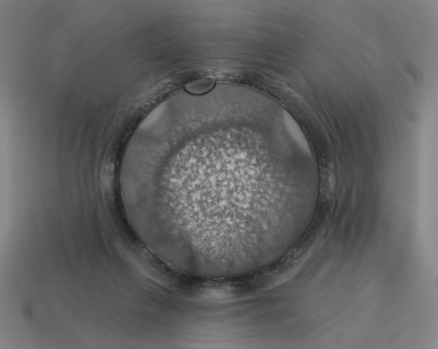 X0000114420263200911061628