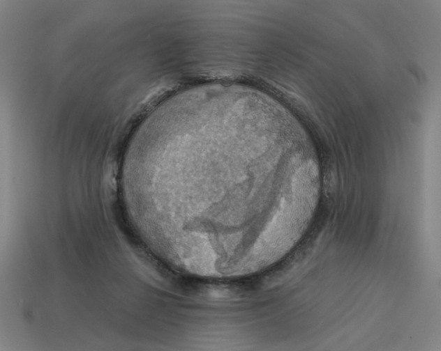 X0000114420264200911061628