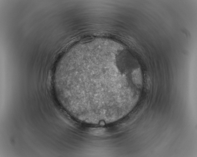 X0000114420266200911061628
