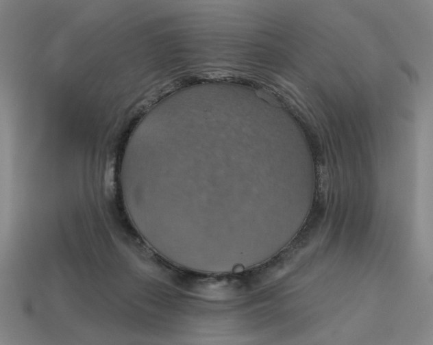 X0000114420267200911061628