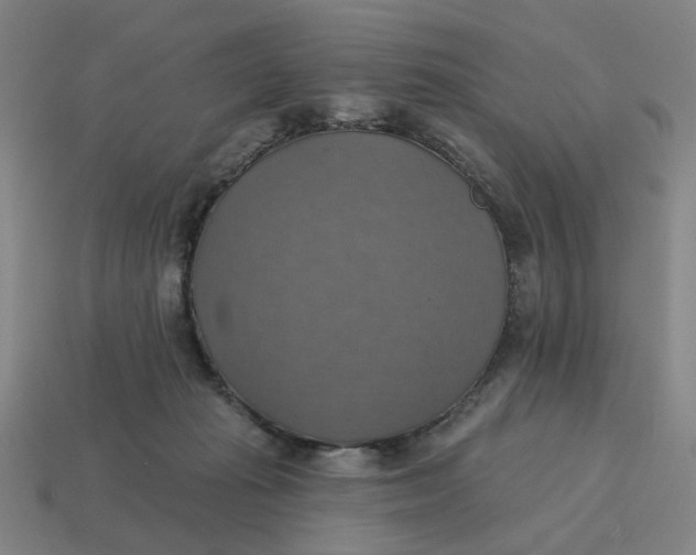 X0000114420269200911061628