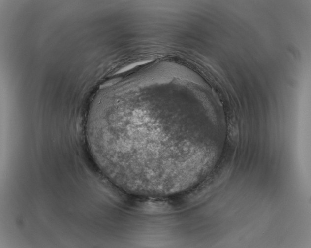X0000114420270200911061628