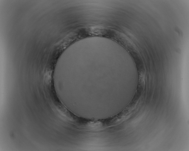 X0000114420271200911061628
