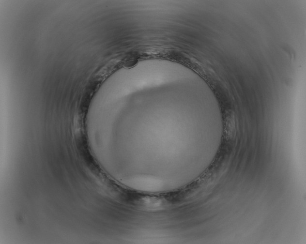 X0000114420272200911061628