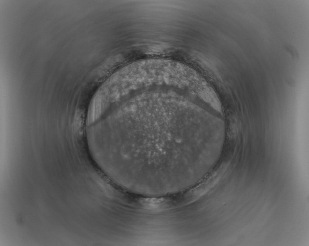 X0000114420273200911061628