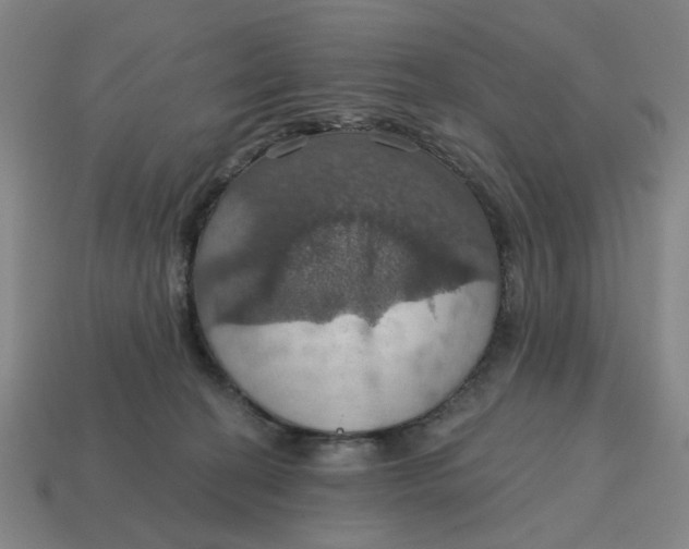 X0000114420274200911061628