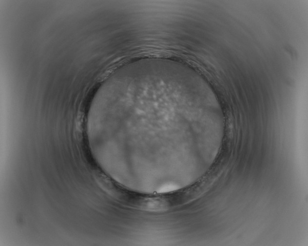X0000114420275200911061628
