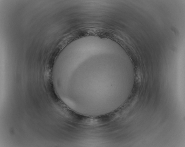 X0000114420276200911061628