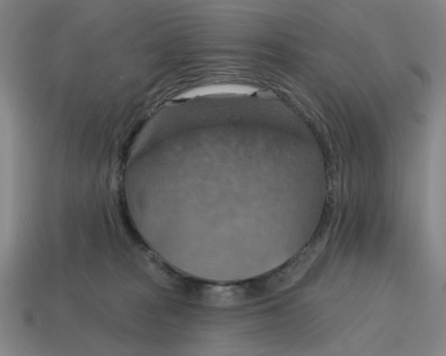 X0000114420277200911061628
