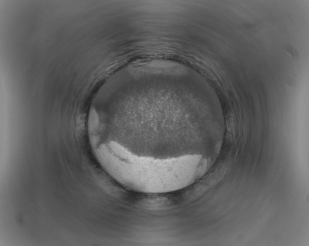 X0000114420278200911061628