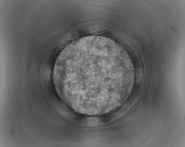X0000114420279200911061628