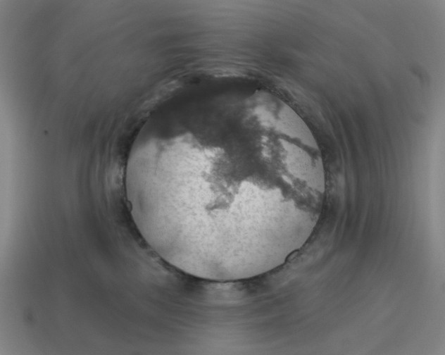 X0000114420281200911061628