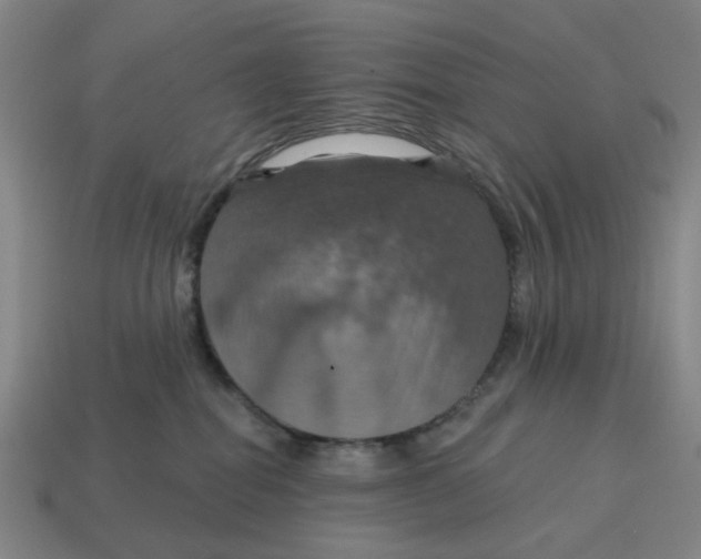 X0000114420282200911061628