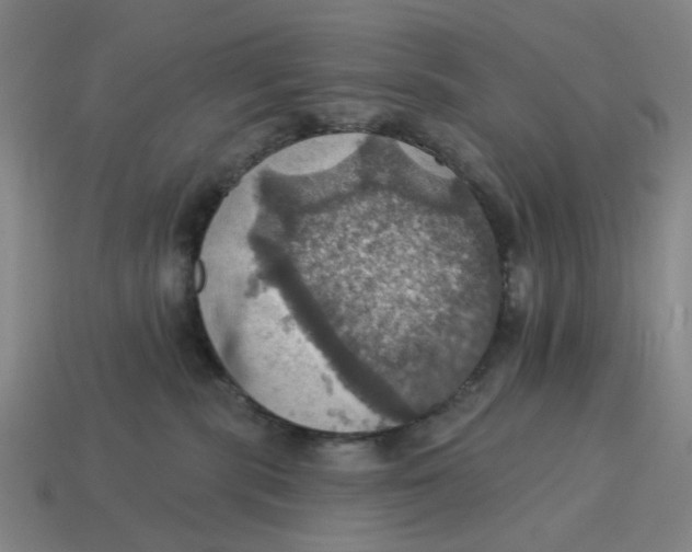 X0000114420283200911061628