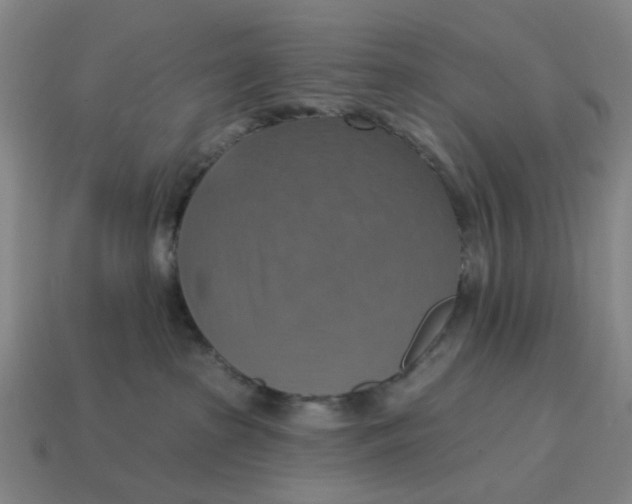X0000114420285200911061628