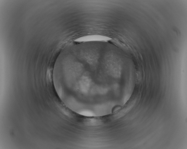 X0000114420286200911061628