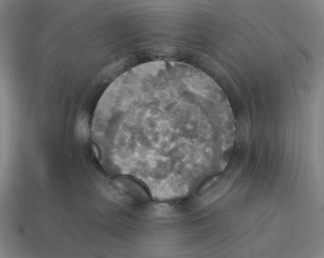 X0000114420287200911061628