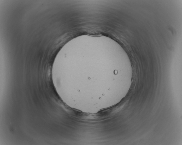 X0000114420288200911061628