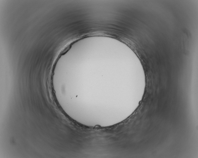 X0000114420289200911061628