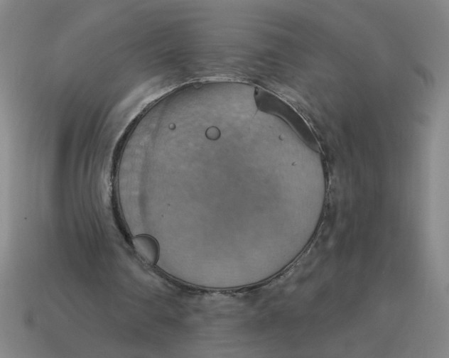 X0000114420290200911061628