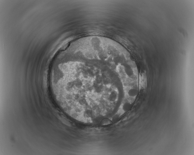 X0000114420291200911061628