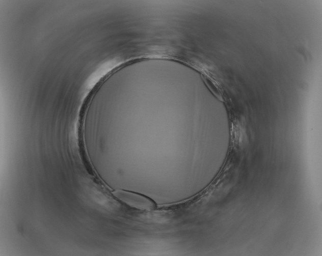 X0000114420292200911061628