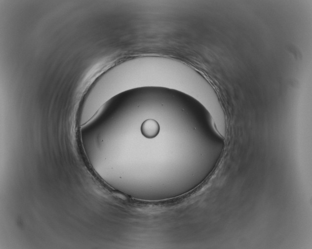 X0000114420293200911061628