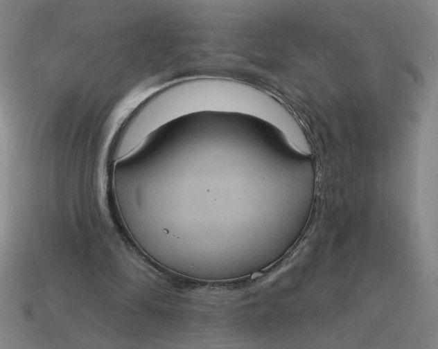 X0000114420294200911061628