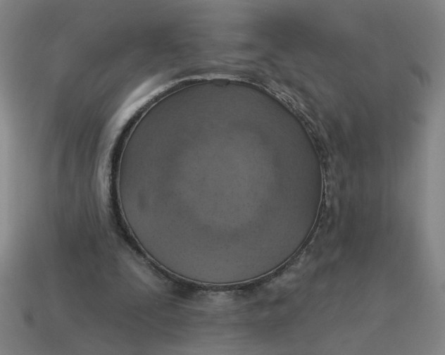 X0000114420295200911061628