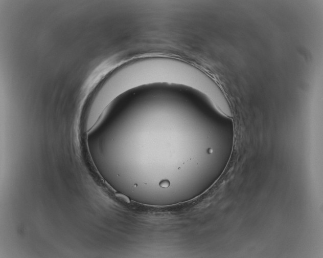 X0000114420296200911061628