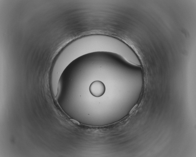 X0000114420297200911061628