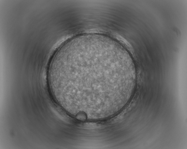 X0000114420298200911061628
