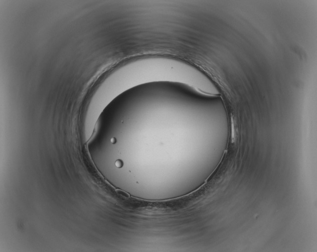 X0000114420300200911061628