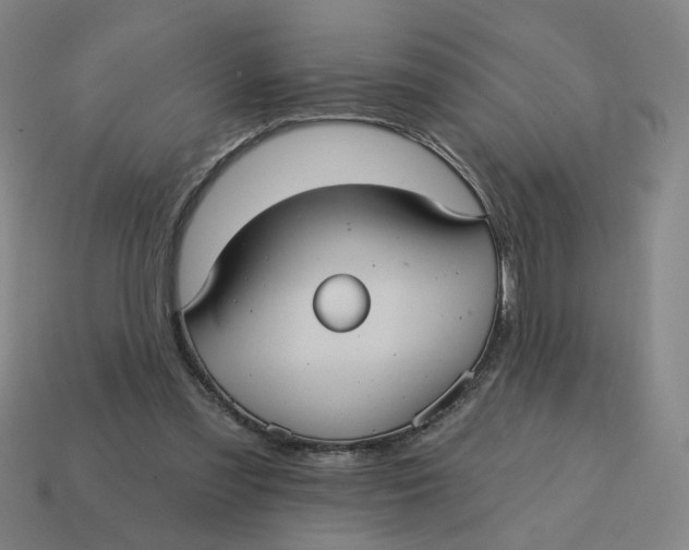X0000114420301200911061628
