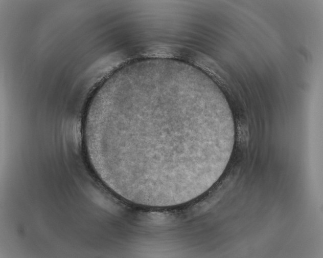 X0000114420302200911061628