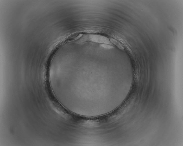 X0000114420303200911061628