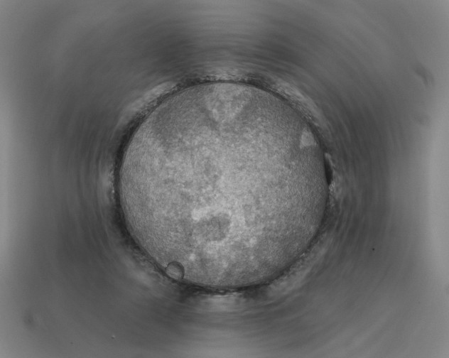 X0000114420306200911061628