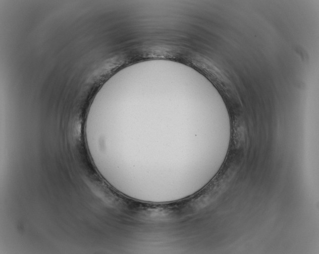 X0000114420310200911061628