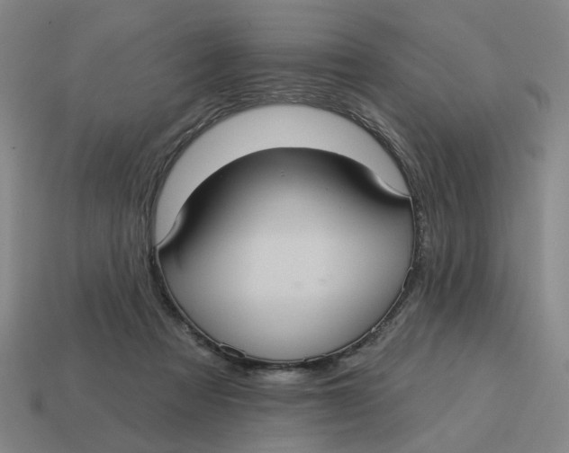 X0000114420313200911061628