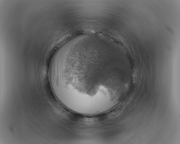 X0000114420314200911061627