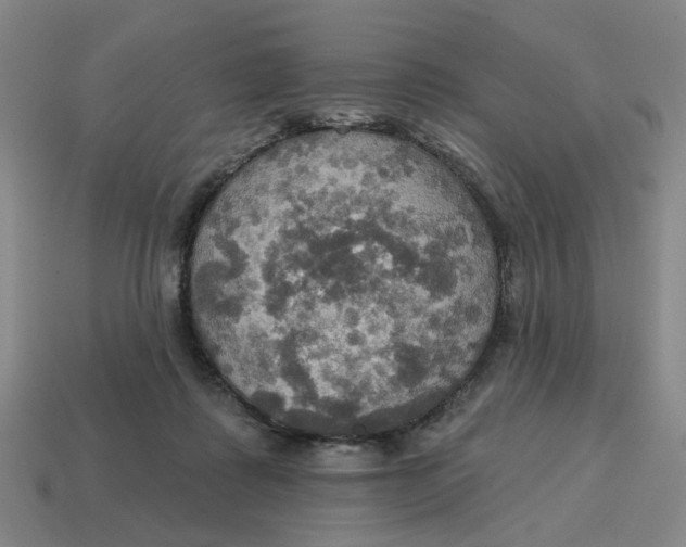 X0000114420315200911061627