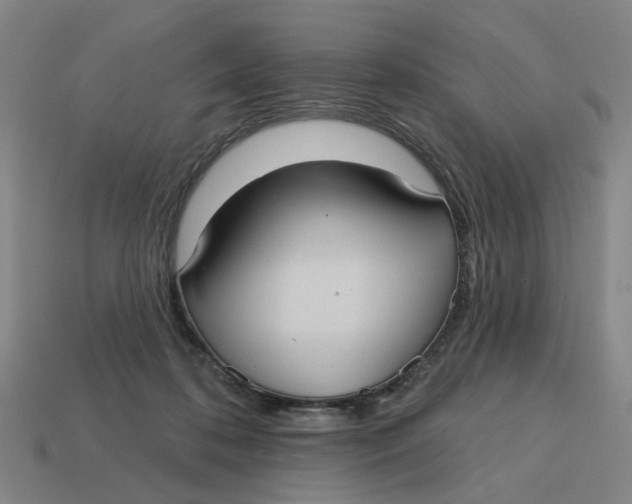 X0000114420316200911061627