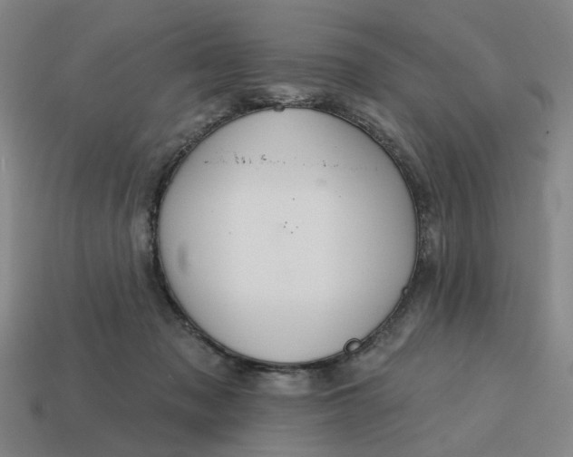 X0000114420317200911061627
