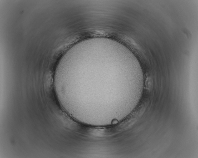 X0000114420318200911061627