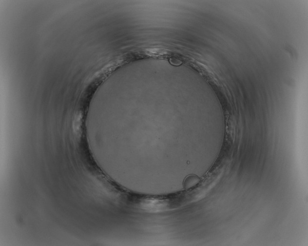 X0000114420319200911061627
