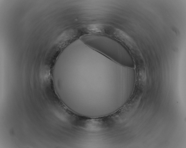 X0000114420320200911061627